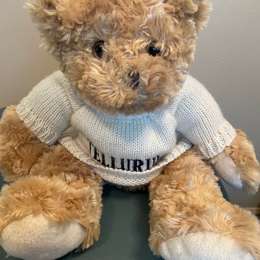 Winter is coming! Telluride Teddy Bear